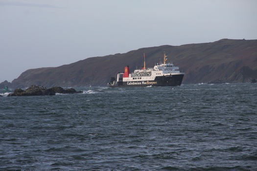 ./20101002-092546.jpg