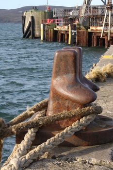 ./20101002-092934.jpg