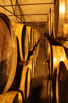 ./20101002-165738.jpg