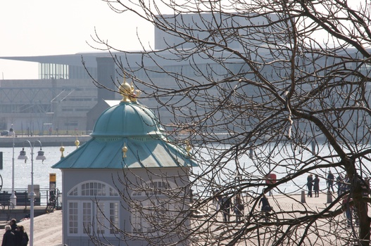 ./20090404-123705.jpg