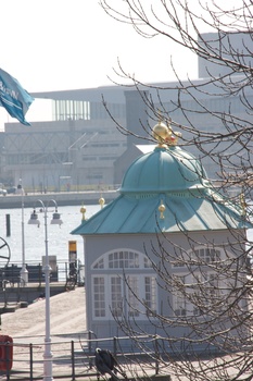 ./20090404-123717.jpg