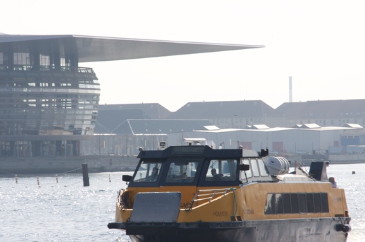 ./20090404-124104.jpg