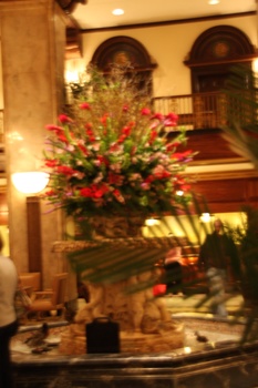 ./20110622-192205.jpg