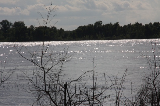 ./20110624-232912.jpg