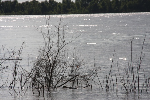 ./20110624-232933.jpg