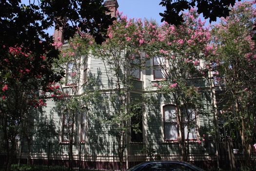 ./20110701-211925.jpg