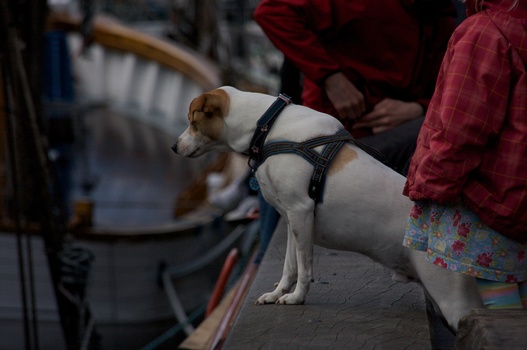./20090409-132944.jpg