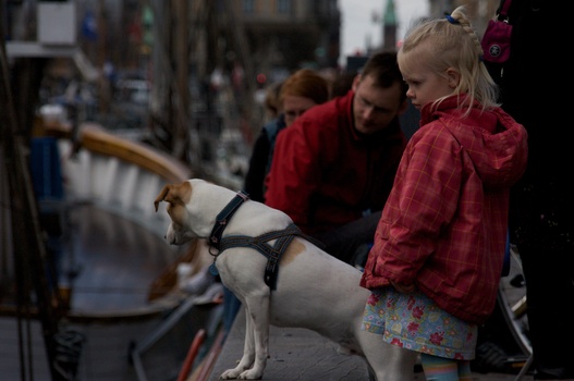 ./20090409-132946.jpg