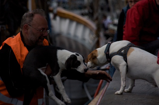 ./20090409-132955.jpg