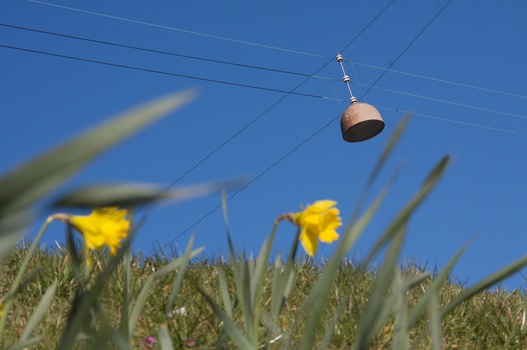 ./20090405-160743.jpg