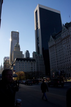 ./20101128-191712.jpg