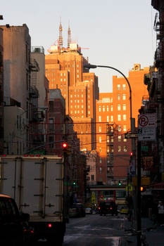 ./20101129-132347.jpg