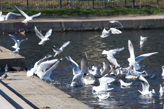 ./20080316-135253.jpg