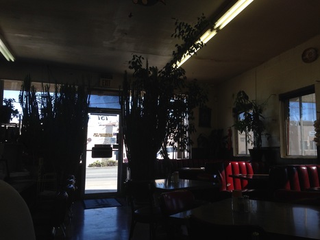 ./20131104-130337.jpg