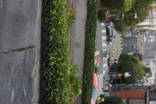 ./20131112-010144.jpg