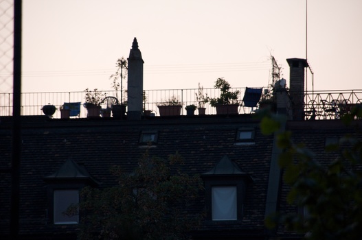 ./20090927-180828.jpg