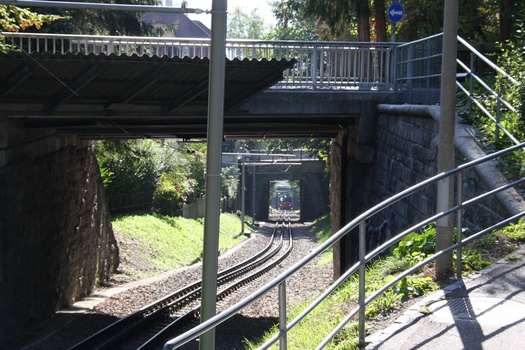 ./20090929-150514.jpg