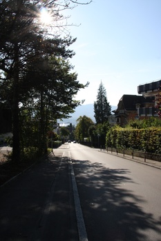 ./20090929-152359.jpg