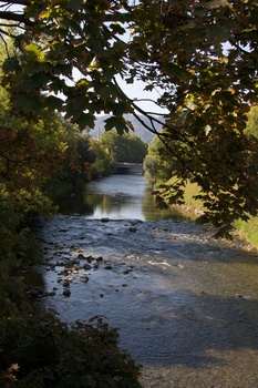 ./20091004-102351.jpg