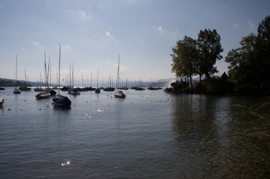 ./20091004-103836.jpg