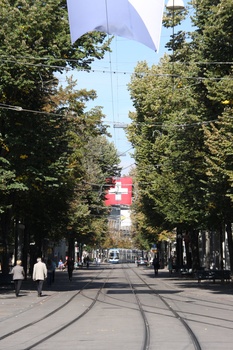 ./20091004-114902.jpg