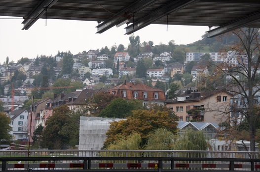 ./20091016-170223.jpg