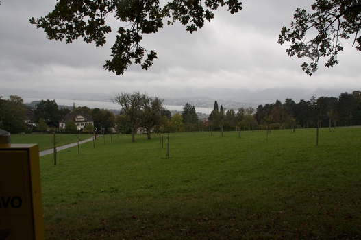 ./20091017-110332.jpg