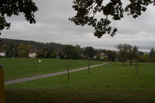 ./20091017-110347.jpg