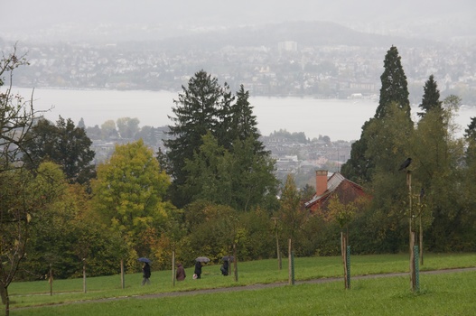 ./20091017-110400.jpg