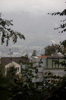 ./20091017-110656.jpg