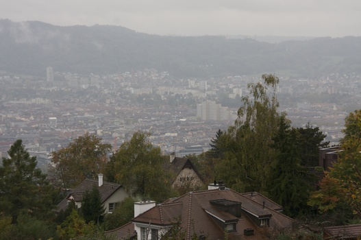 ./20091017-111028.jpg
