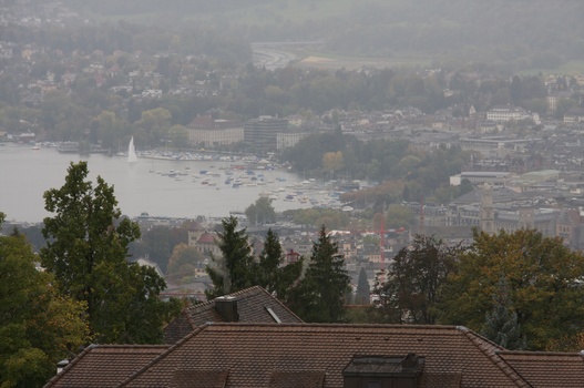 ./20091017-111109.jpg