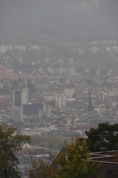 ./20091017-111129.jpg