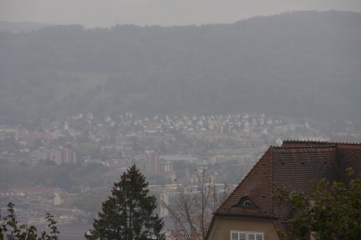 ./20091017-111225.jpg