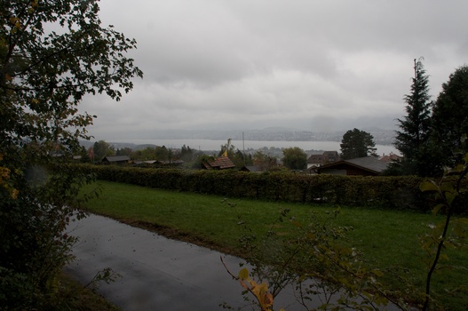 ./20091017-111450.jpg