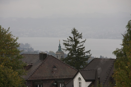 ./20091017-112609.jpg
