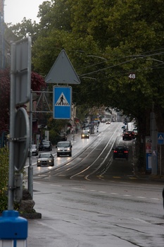 ./20091017-114103.jpg