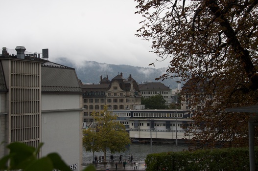 ./20091017-114732.jpg
