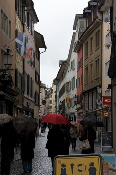 ./20091017-115254.jpg