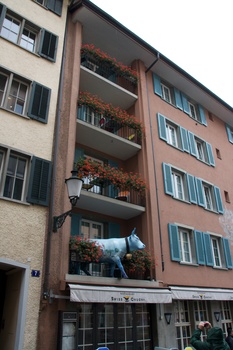 ./20091017-115934.jpg
