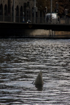 ./20091018-155218.jpg