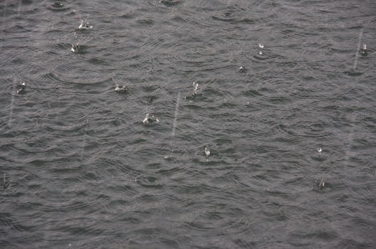 ./20091018-155956.jpg