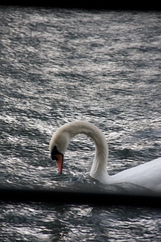 ./20091018-160114.jpg