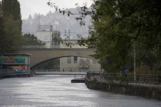 ./20091018-160145.jpg