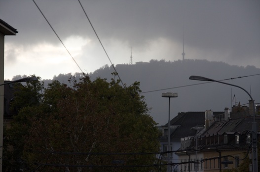 ./20091018-161242.jpg