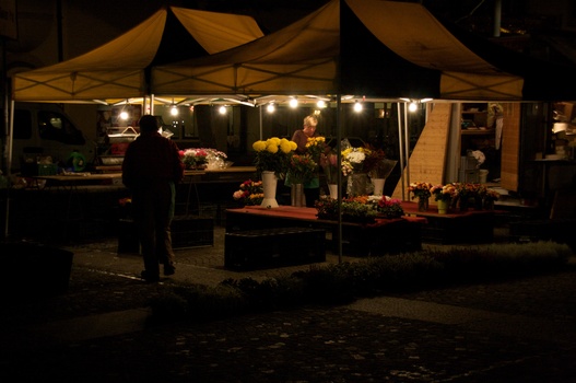 ./20091023-054942.jpg
