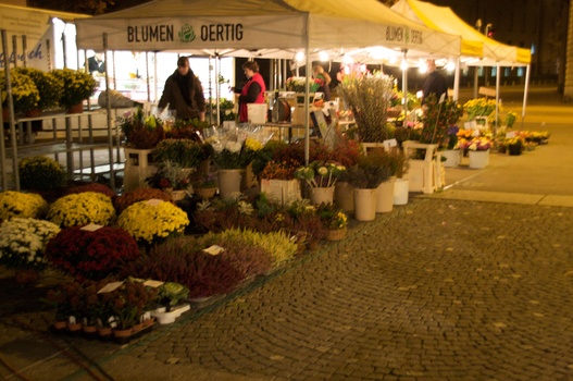 ./20091023-055007.jpg