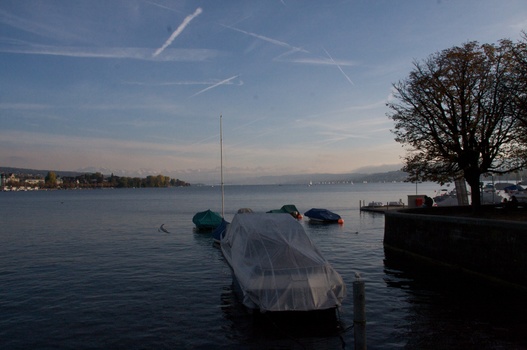 ./20091024-153923.jpg