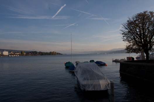 ./20091024-153949.jpg