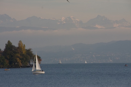 ./20091024-154524.jpg